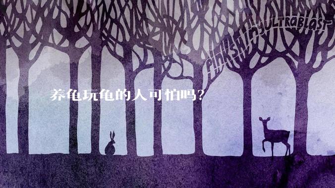 养龟玩龟的人可怕吗？