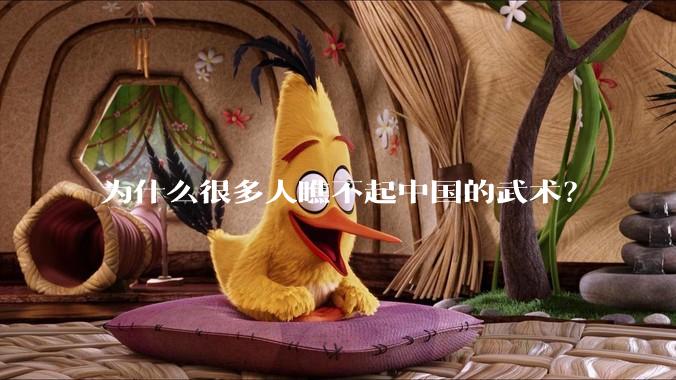 为什么很多人瞧不起中国的武术？