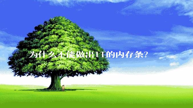 为什么不能做出1T的内存条？