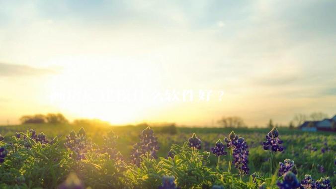画房屋建模什么软件好?