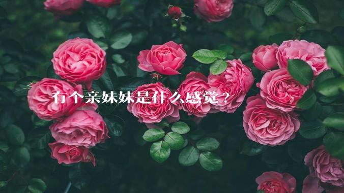 有个亲妹妹是什么感觉?