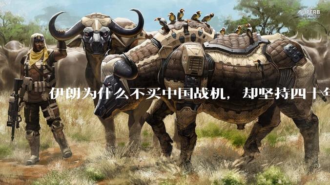 伊朗为什么不买中国战机，却坚持四十年用老旧的苏联米格29、美国F14雄猫战斗机?