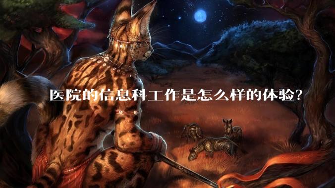 医院的信息科工作是怎么样的体验？